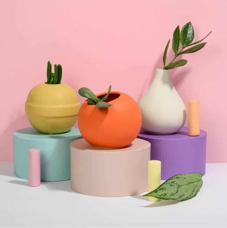 Coupole avec plante verte de décoration – Image 6